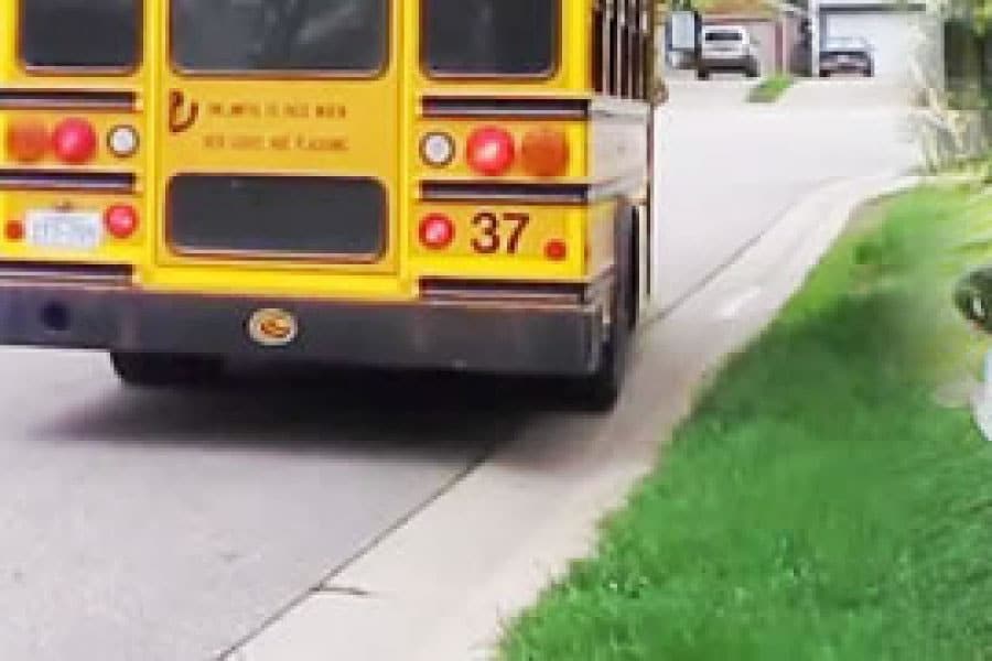 School Bus Tracking App to Never Miss Your School Bus