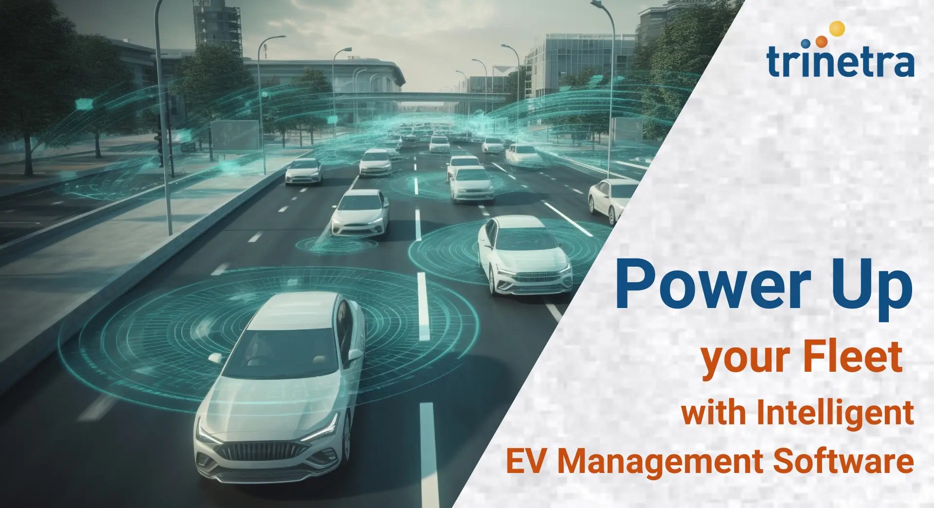 electric vehicle fleet management software